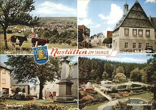 Nastaetten Taunus Panorama Rathaus Adolfsplatz Waldschwimmbad Kat. Nastaetten