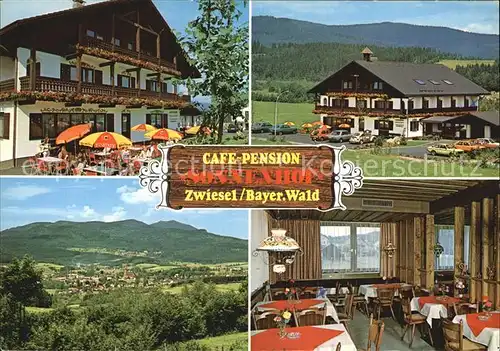 Zwiesel Niederbayern Cafe Pension Sonnenhof Kat. Zwiesel