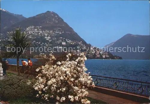 Lugano Lago di Lugano mit Monte Bre