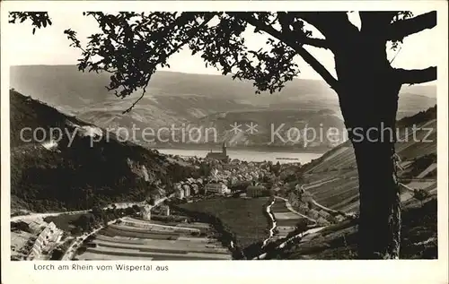 Lorch Rheingau Blick vom Wispertal  Kat. Lorch