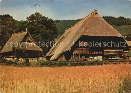 Gutachtal Freilichtmuseum Vogtsbauernhof  Kat. Gutach