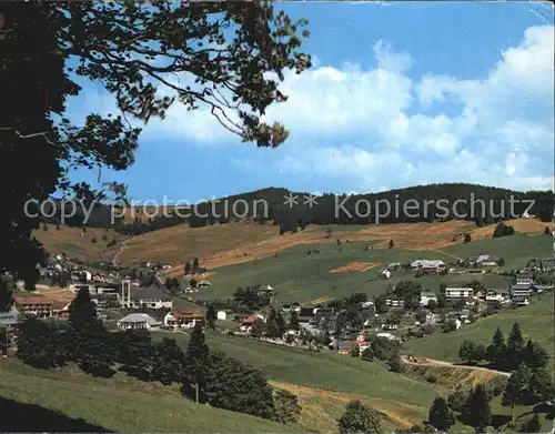 Todtnauberg Panorama Kat. Todtnau