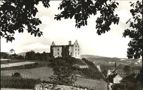 Burkheim Kaiserstuhl Schlossruine  Kat. Vogtsburg im Kaiserstuhl