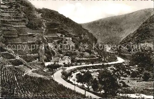 Ahrweiler Ahr Walporzheim Weinberge Kaiserstuhl Kat. Bad Neuenahr Ahrweiler