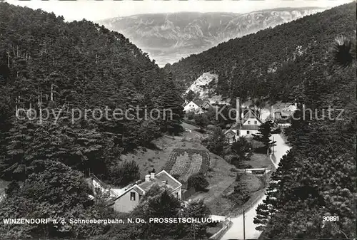 Winzendorf Muthmannsdorf an der Schneebergbahn Prossetschlucht Kat. Winzendorf Muthmannsdorf