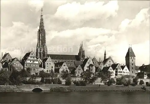 Ulm Donau Muenster Donaupartie  Kat. Ulm