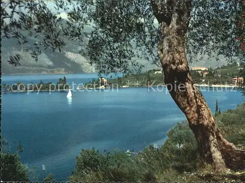 Lago di Garda Isola di Sogno Kat. Italien