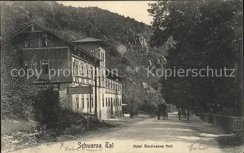 Schwarzatal Hotel Waidmanns Heil Kat. Rudolstadt