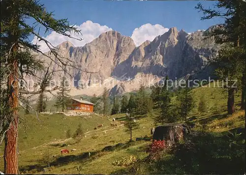 Tuerlwandhuette Panorama mit Dachstein Suedwaenden Kat. Ramsau am Dachstein