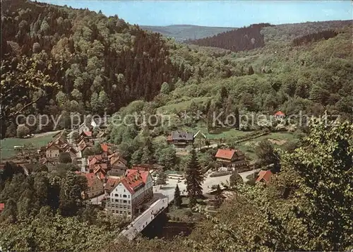 Treseburg Harz Teilansicht Kat. Treseburg