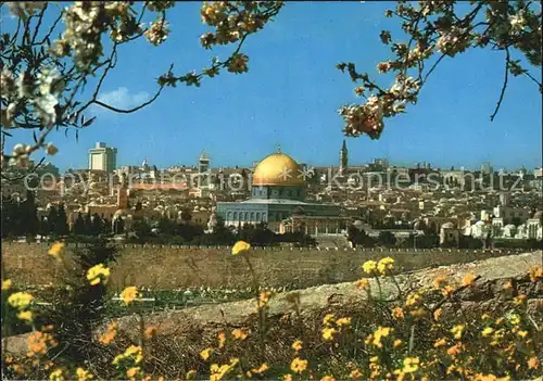 Jerusalem Yerushalayim Altstadt Blick vom Olivenberg Kat. Israel