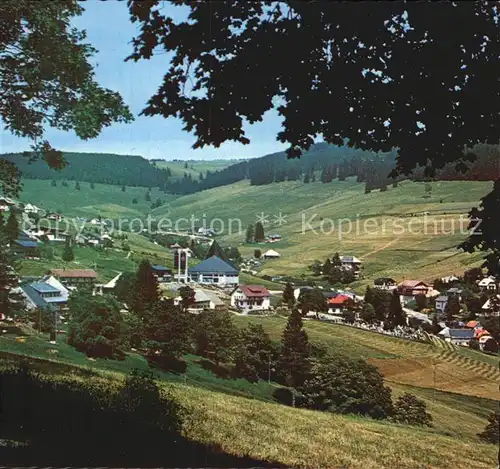 Todtnauberg  Kat. Todtnau