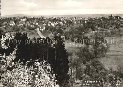 Nellingen Alb Nellingen a. F. Kat. Nellingen