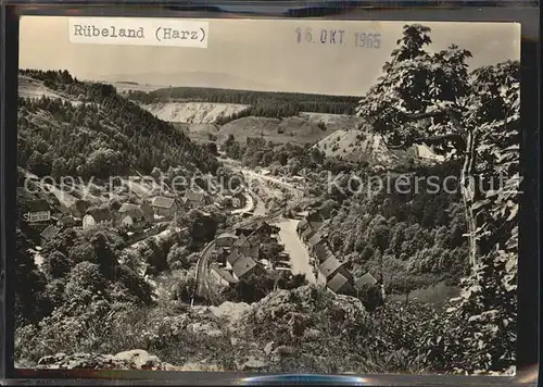 Ruebeland Harz Blick gegen den Bielstein