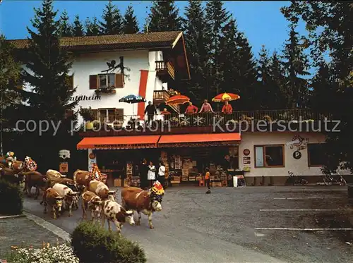 Niederndorf Kufstein Viehabtrieb Gaestehaus Waldheim Kat. Kufstein