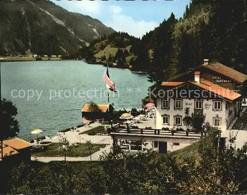 Haldensee Hotel Alpenhof Kat. Oesterreich