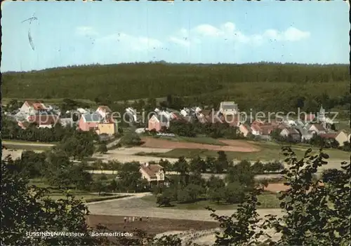 Fussingen Teilansicht  Kat. Waldbrunn (Westerwald)