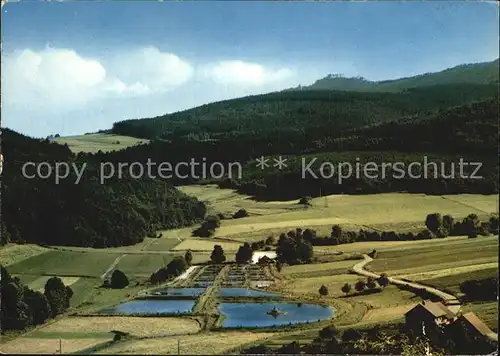 Hilgershausen Melsungen Fliegeraufnahme Forellenzucht im Riedbachtal Kat. Felsberg