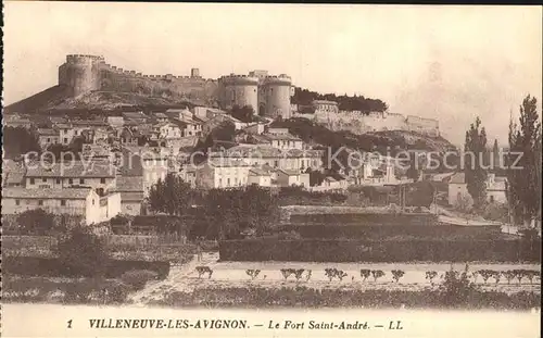 Villeneuve les Avignon Fort Saint Andre Kat. Villeneuve les Avignon