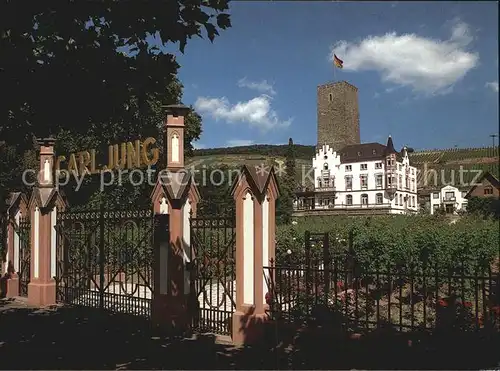 Ruedesheim Rhein Weingut Schloss Boosenburg Carl Jung Kat. Ruedesheim am Rhein