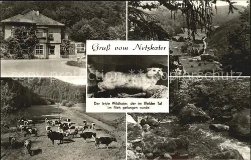 Ilfeld Suedharz Netzkater Gasthaus Viehweide Ilfelder Tal Kat. Ilfeld Suedharz