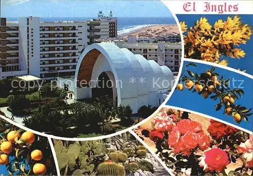 Playa del Ingles Gran Canaria Hotel Pavillon Strand Suedfrueche Blumen Kakteen Kat. San Bartolome de Tirajana