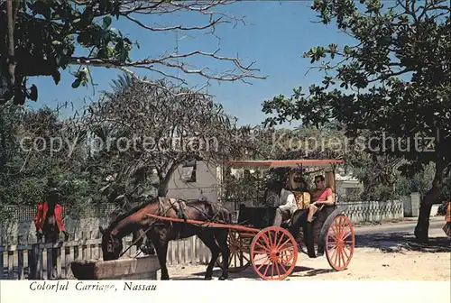 Nassau Bahamas Colorful Carriage Pferdedroschke