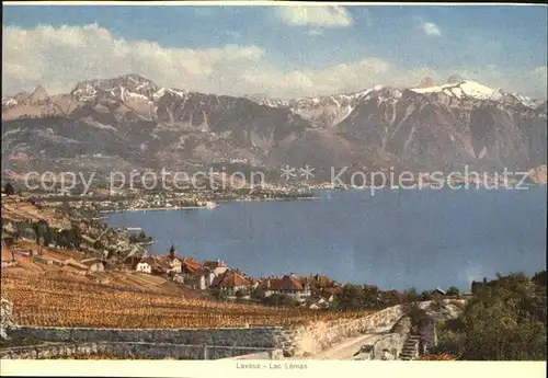 Lavaux VD Lac Leman Kat. 