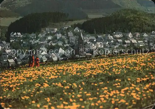 Olsberg Sauerland Panorama Kat. Olsberg