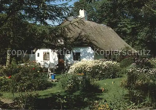 Insel Foehr Friesenhaus Kat. Wyk auf Foehr