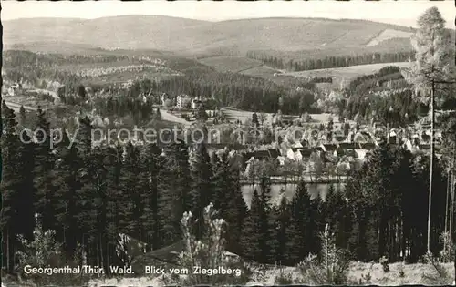 Georgenthal Gotha Blick vom Ziegelberg  Kat. Georgenthal