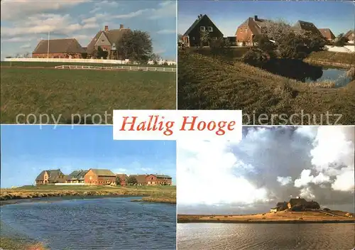 Hallig Hooge Teilansichten Kat. Hooge