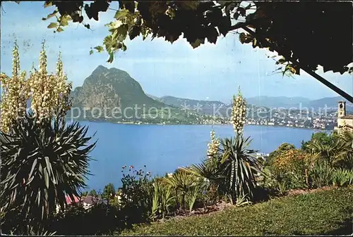 Castagnola Cassarate Panorama Monte San Salvatore Kat. Castagnola