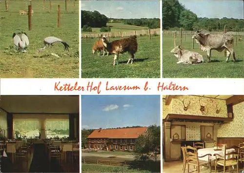 Lavesum Wildpark mit Restaurant Ketteler Hof Kat. Haltern am See