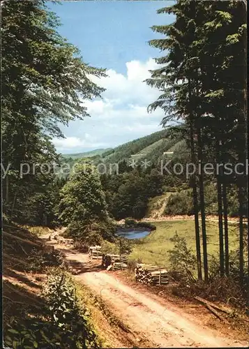 Latrop Sauerland Waldweg Kat. Schmallenberg