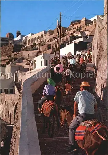 Santorin Thira Thera Eselreiten Kat. 