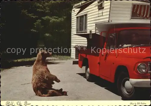 Yellowstone National Park Hold Up Bear Kat. Yellowstone National Park