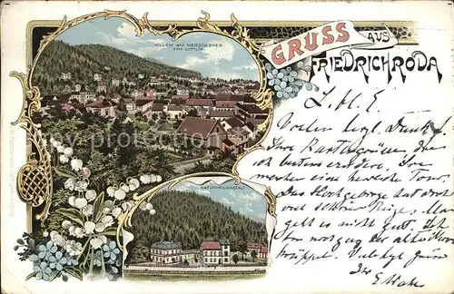 Friedrichroda Villen am Herzogsweg vom Gottlob Naturheilanstalt Litho Kat. Friedrichroda