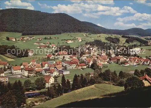 Mitteltal Schwarzwald Panorama Kat. Baiersbronn