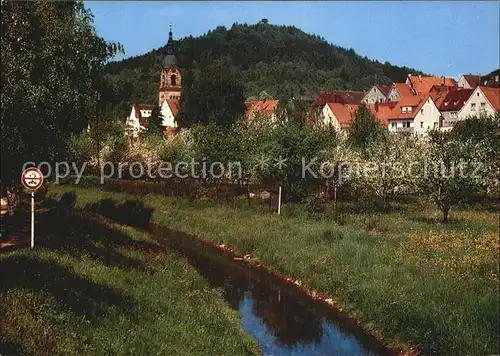 Pegnitz Schlossberg Kat. Pegnitz