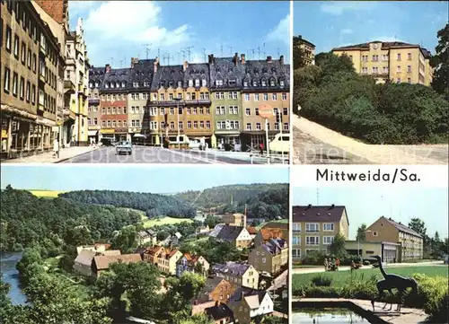 Mittweida Ingenieurhochschule Markt  Kat. Mittweida