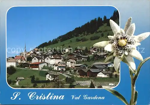 St Christina Ortsblick Edelweiss Kat. Groeden Suedtirol