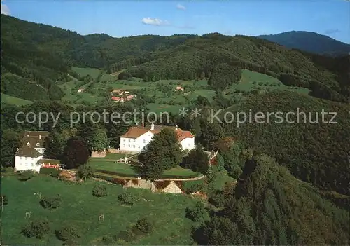 Schliengen Barockschloss Buergeln Fliegeraufnahme Kat. Schliengen