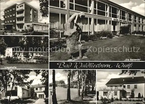 Bad Waldliesborn Ortkemper Liegehalle Kat. Lippstadt