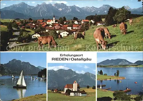 Rieden Allgaeu Panorama Weidevieh Segeln Kirche Seepartie Kat. Fuessen