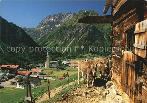 Kleinwalsertal Mittelberg und Widderstein Kat. Oesterreich