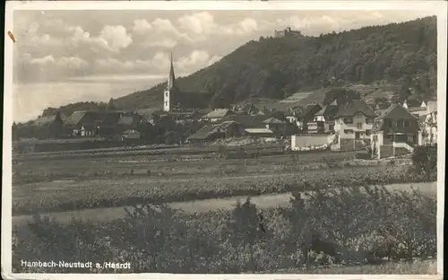 Neustadt Weinstrasse Ortsansicht mit Kirche Schloss / Neustadt an der Weinstr. /NeuWeinstrasse Stadtkreis