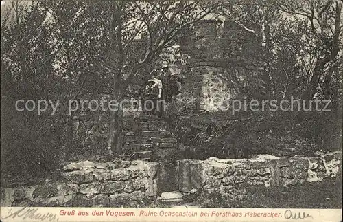 Haberacker Bas Rhin Ruine Ochsenstein bei Forsthaus Haberacker Kat. Reinhardsmunster