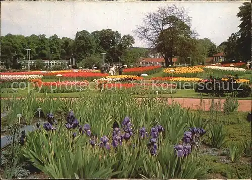 Hamburg Ausstellungspark Planten un Blomen Irisbluete  Kat. Hamburg