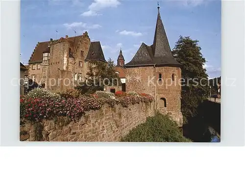 Buedingen Hessen Muehltor mit Schlaghaus Kat. Buedingen